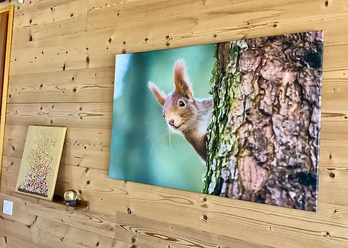 Horská chata L'ecureuil, With Terrace & View